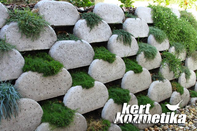 Flórakosaras támfal (41)